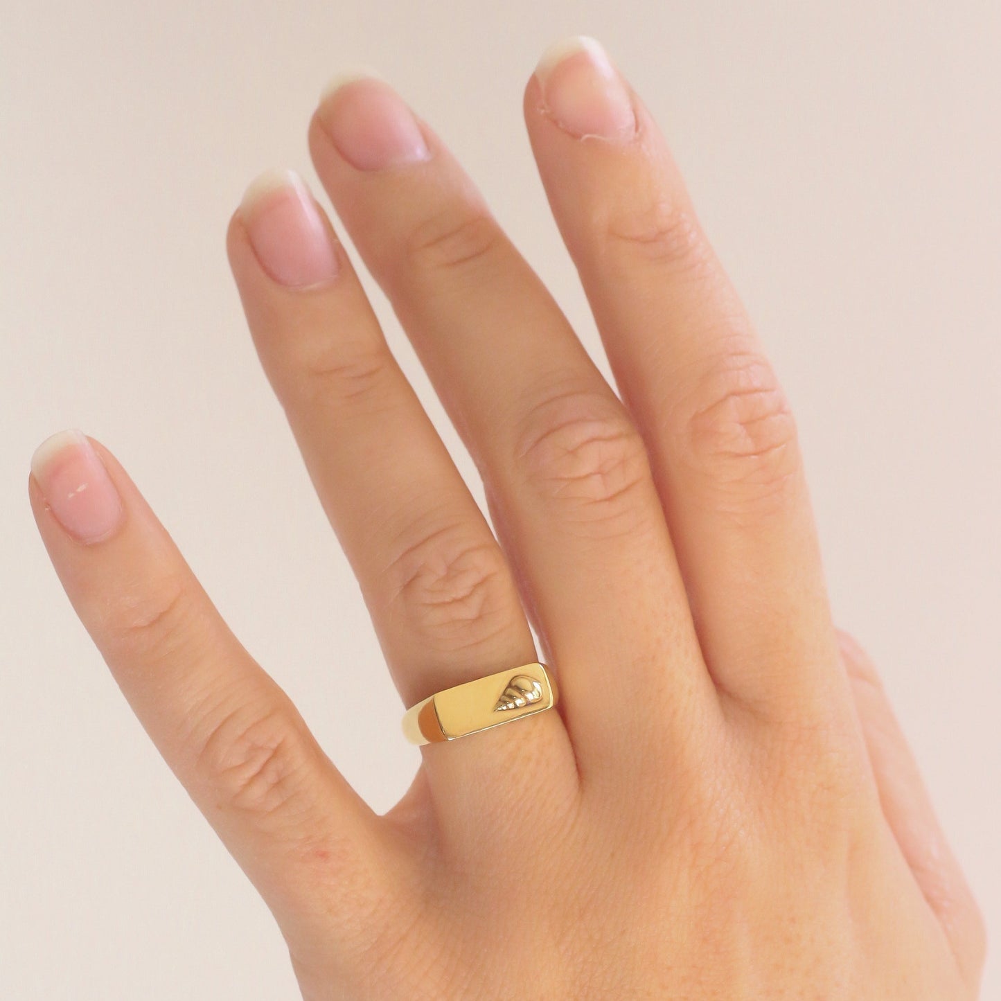 Conch Shell Signet Ring 14k Gold