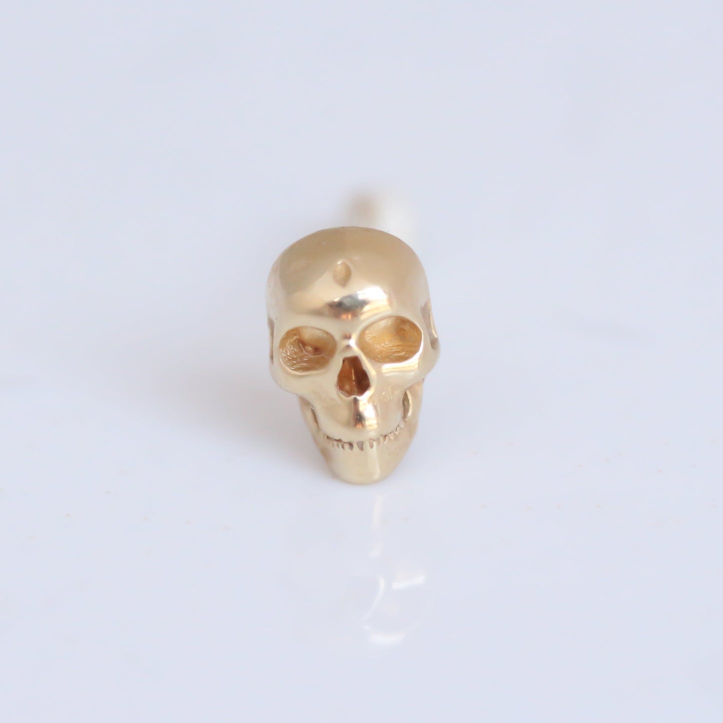 Skull stud 14k gold