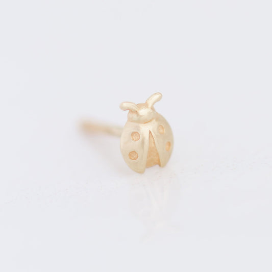 Ladybug earring stud 14k gold