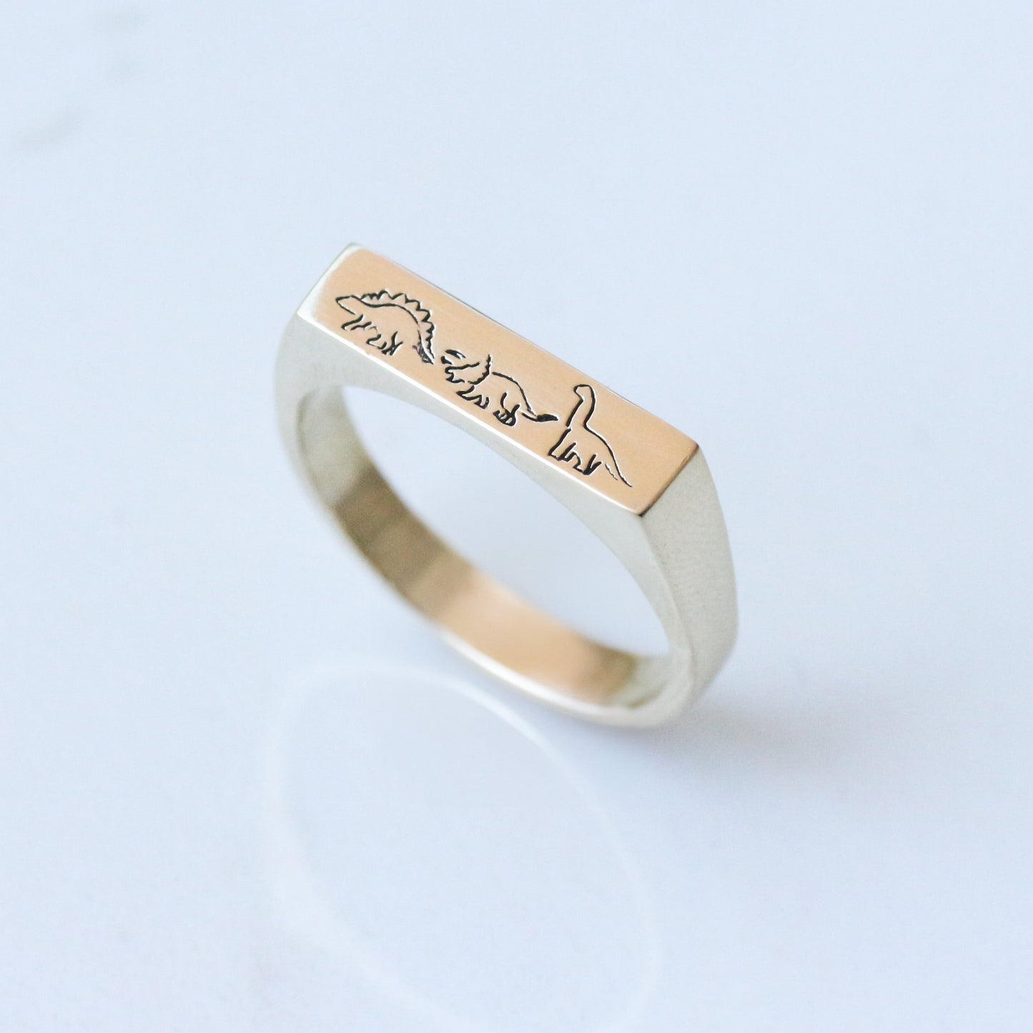 Dino Signet ring 14k