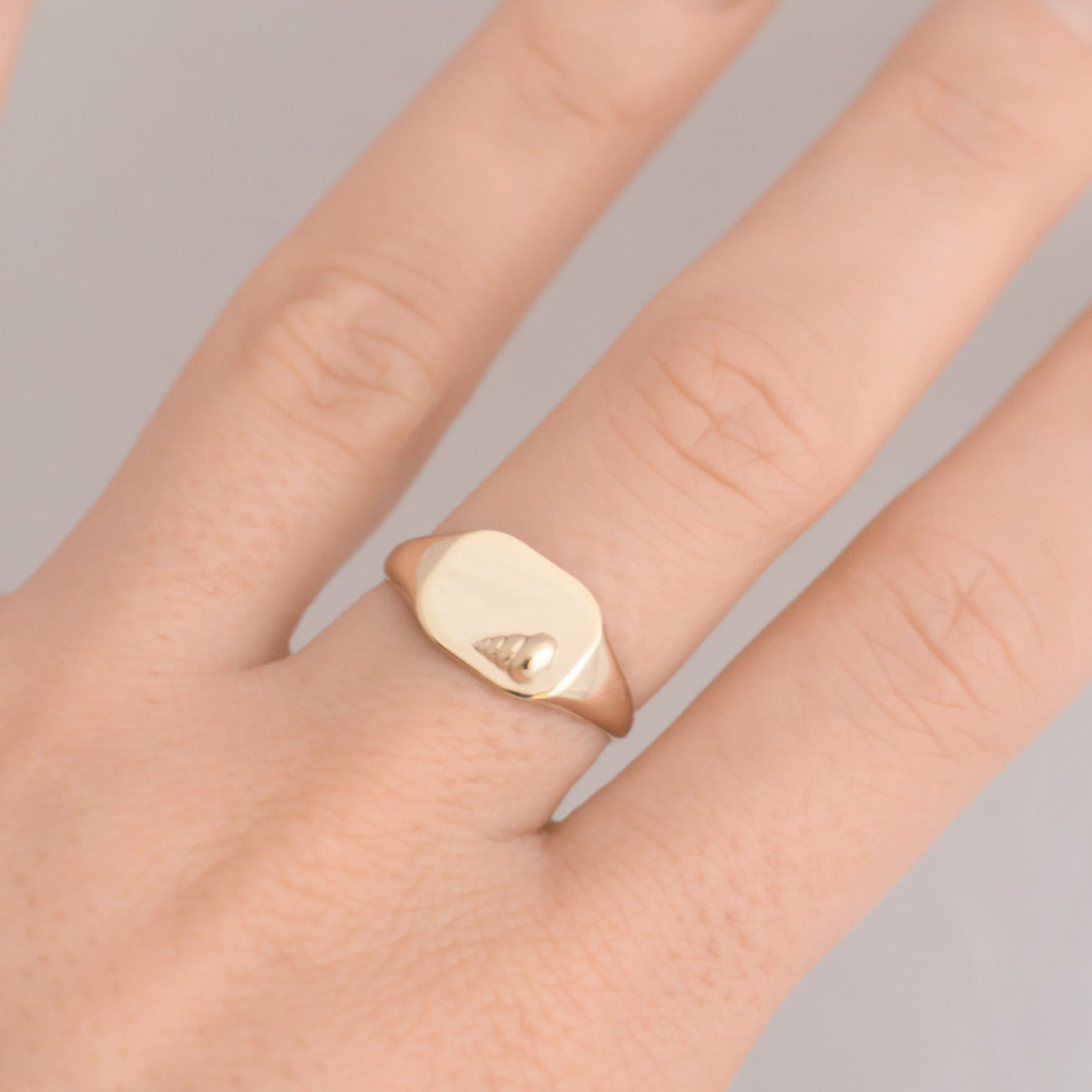 Conch Signet ring 14k gold