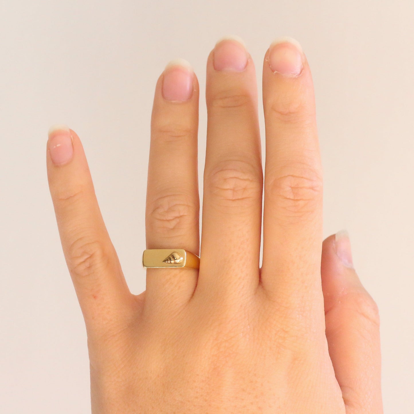 Conch Shell Signet Ring 14k Gold
